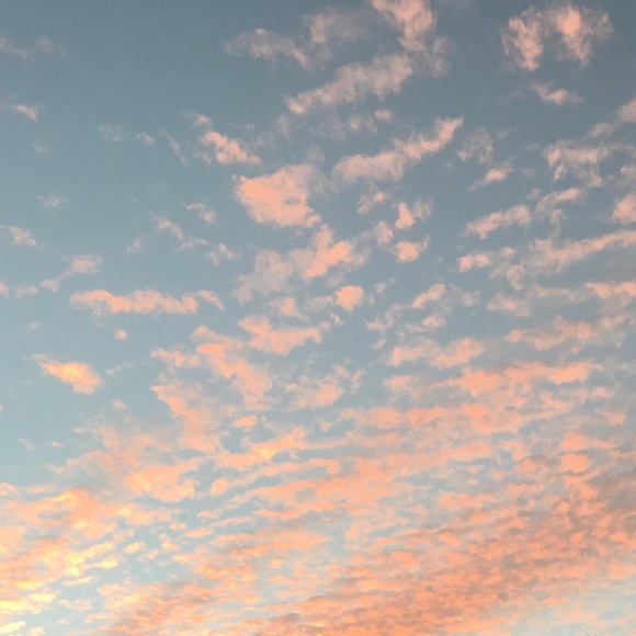 Meet your Posher, Stacey - Picture 1 of 1